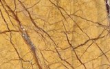 forest golden marble
